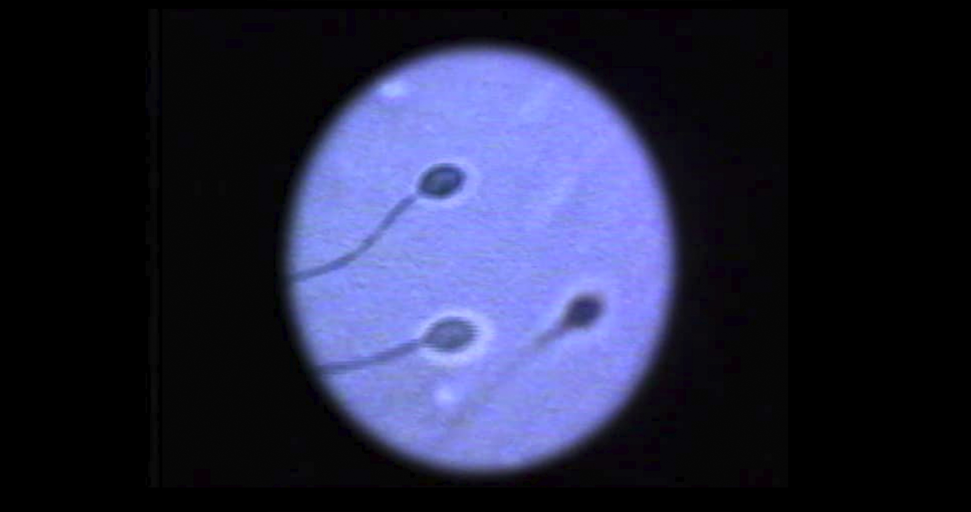 Toni Guasch y Ernesto Rilova, c de c de Honor 2010