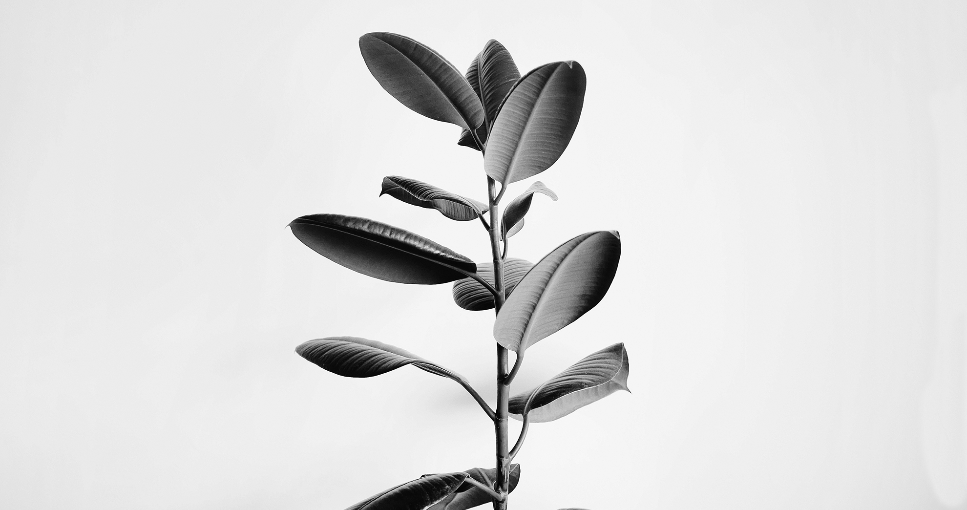 Sobre belleza y cambio