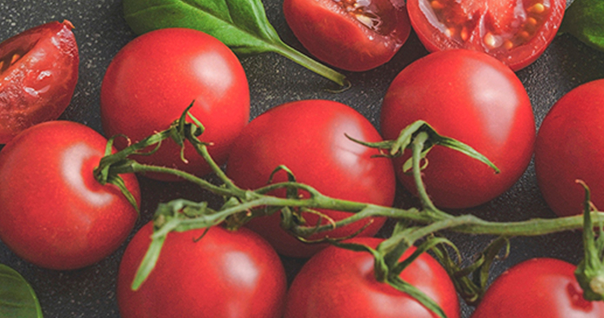 Hoy no es mañana. Veganismo